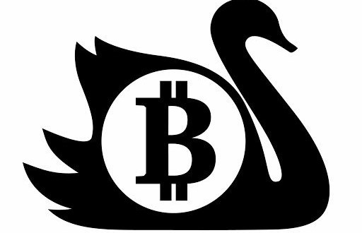 img:Bitcoin: a protecção de um cisne negro?