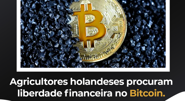 img:Agricultores holandeses procuram liberdade financeira no Bitcoin.