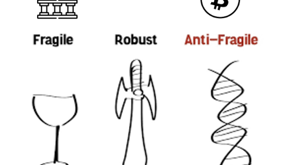 img:Anti-frágil. Tradução: Ficar mais forte na adversidade.