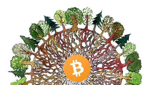 img:A selva que permite o Bitcoin respirar.
