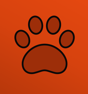 img:Dia Mundial do Animal: as contas para cuidar bem de um cão ou gato