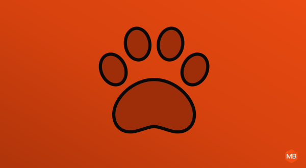 img:Dia Mundial do Animal: as contas para cuidar bem de um cão ou gato